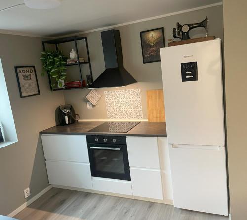 a kitchen with a white refrigerator and a stove at Trollstova in Sogndal