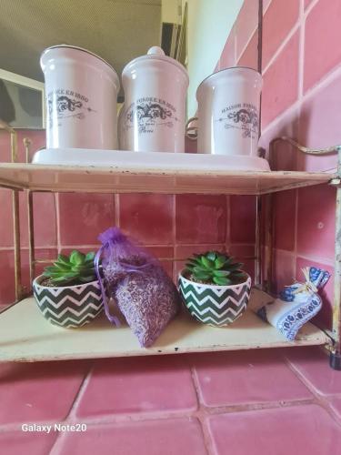 une étagère avec trois pots et des plantes dessus dans l'établissement Maison spacieuse à Villeneuve-lès-Avignon avec terrasse_2, à Villeneuve-lès-Avignon