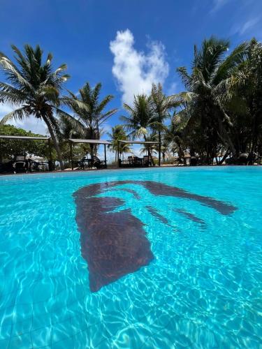 a pool of blue water with palm trees in the background at Pousada dos Guarás in Salvaterra
