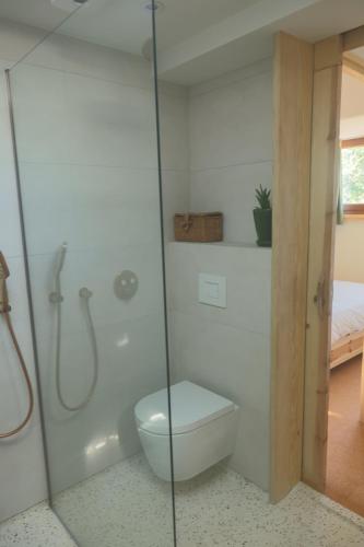 a bathroom with a toilet and a glass shower at Juneberry Ecolodge Bergen in Bergen