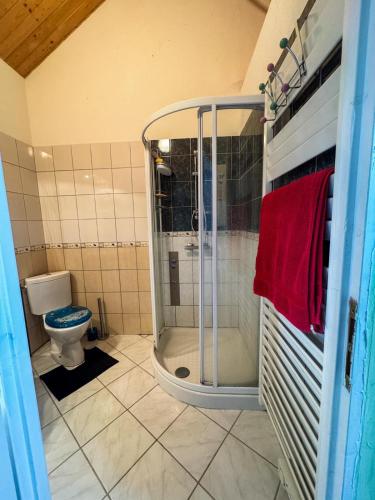 une salle de bain avec douche et toilettes dans l'établissement Appartement Bainville Sur Madon, à Bainville-sur-Madon