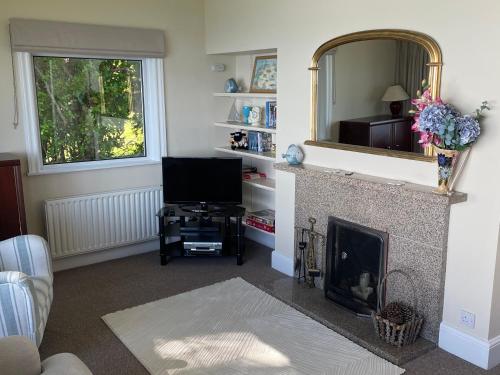 a living room with a fireplace and a mirror at Rocklea Seaside Cottage in Newcastle