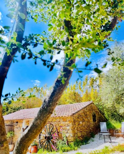 a stone barn with a tree in front of it at Authentique bergerie en pierre avec jacuzzi piscine et massages La grange des amoureux in Le Beausset