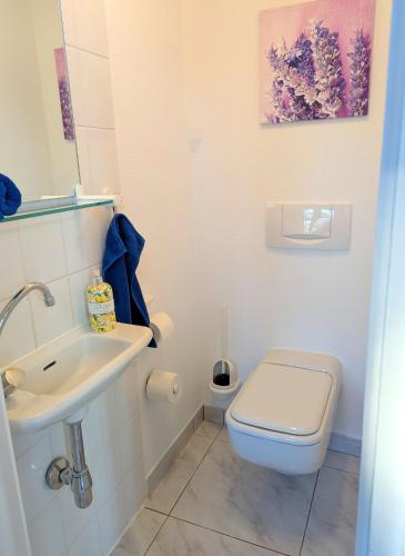 Un baño blanco con inodoro y lavabo. en BlaueBlumeUrlaub, en Eisenach