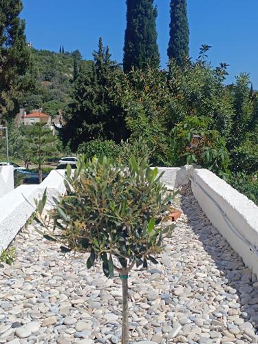 Gallery image of Athina Studio Apartments in Kerveli