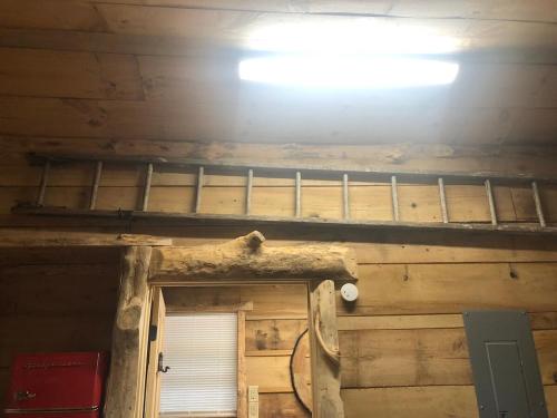 a bunk bed in a wooden cabin with a window at Tree top View 15 in Rising Fawn