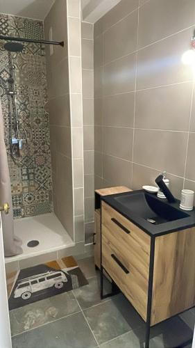 une salle de bain avec un lavabo et une douche dans l'établissement air-conditioned studio in Marseille, à Marseille