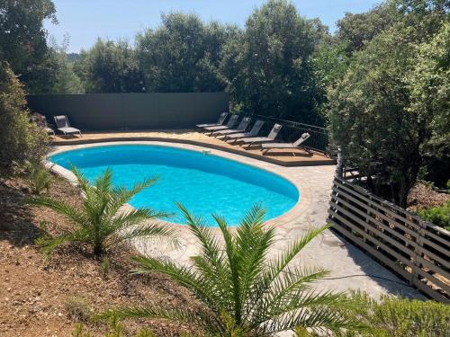 - une piscine avec des chaises longues à côté dans l'établissement Villa Terre d'Azur, à La Croix-Valmer