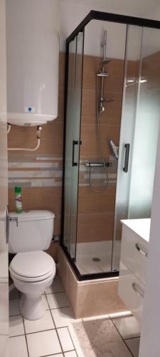 une salle de bain avec toilettes et douche en verre dans l'établissement Studio avec vue sur mer , plage à 150 m et proche des commerces, au Barcarès