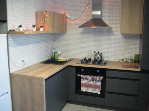 a kitchen with a stove and a counter top at Ciocana apartment in Chişinău