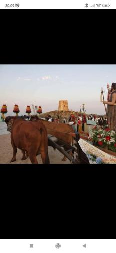 a brown horse standing next to a fence at Inter House in Bari Sardo
