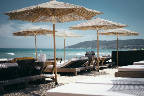 Cannes Breeze