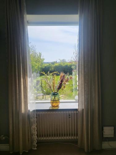 a window with a vase with flowers in it at Cosy and charming semi-detached house in Hilleshög in Härslöv