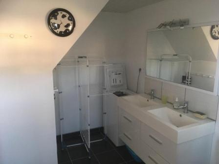 une salle de bain avec un lavabo, une douche et un miroir dans l'établissement Le village caché, à Mayet-de-Montagne