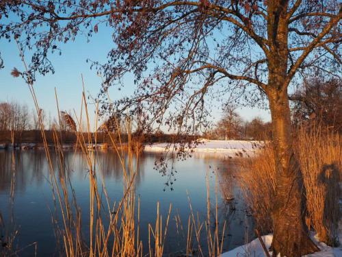 Příroda nedaleko apartmánu