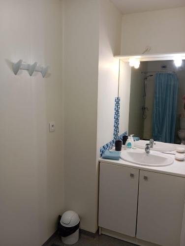 une salle de bain avec un lavabo et un miroir dans l'établissement Appartement 2 pièces entre centre ville et machine de l'île, à Nantes