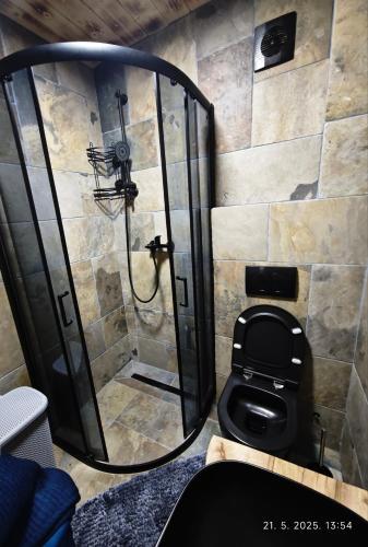 a bathroom with a shower with a toilet in it at Vikendice Dream 1 in Sekulić 