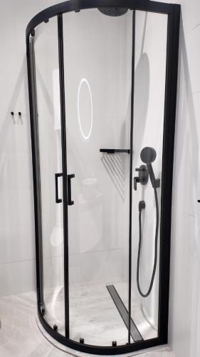 a shower with a glass door in a bathroom at MONOPATI Apartments in Mouzákion