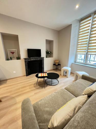 un soggiorno con divano e camino di Appartement Saint-Louis a Verdun-sur-Meuse