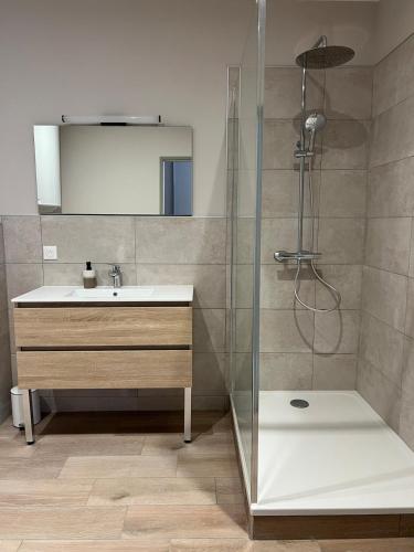 une salle de bain avec un lavabo et une douche dans l'établissement Appartement Saint-Louis, à Verdun-sur-Meuse