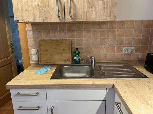 a kitchen with a sink and a counter top at Der grüne Fürst Ferienwohnung Apartment 2 in Bad Muskau