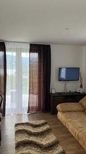 a living room with a couch and a television at Vila Luka i Ana - Apartman Luka in Zaovine