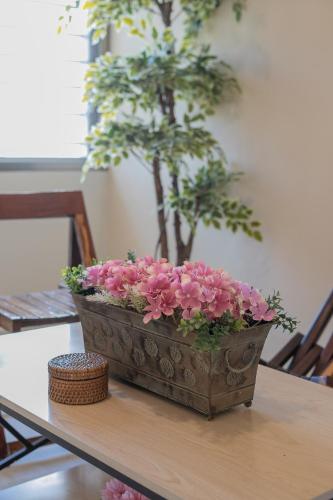 a planter filled with pink flowers on a table at Amplia casa con 3 habitaciones para hospedaje in Chetumal