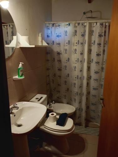 a bathroom with a sink and a toilet and a shower curtain at Dpto BBB in Zapala