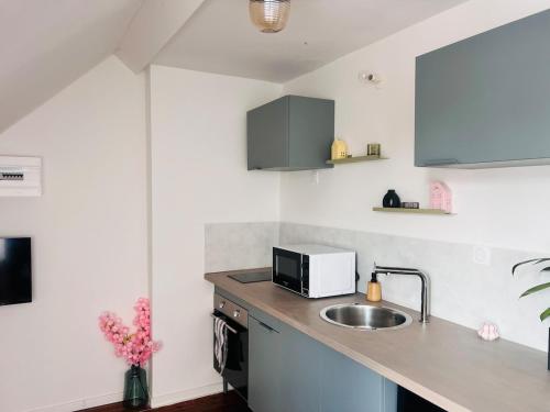 une cuisine avec un évier et un micro-ondes dans l'établissement Fleur de Liévin, à Liévin