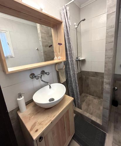 a bathroom with a sink and a shower at Aranypart Vendégház - Tiszakécske in Tiszakécske