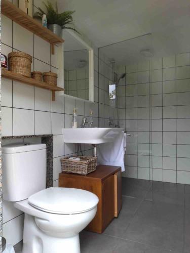a bathroom with a white toilet and a sink at Casa El Gabinete in Cariño