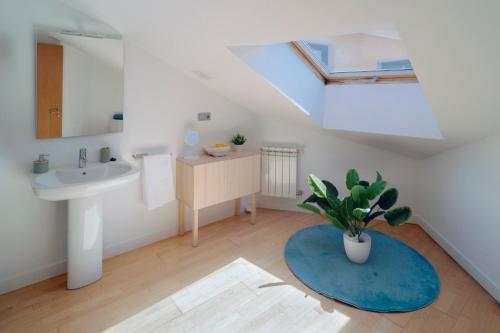 a bathroom with a sink and a potted plant at ÁTICO CON VISTAS Centro Histórico in Allariz
