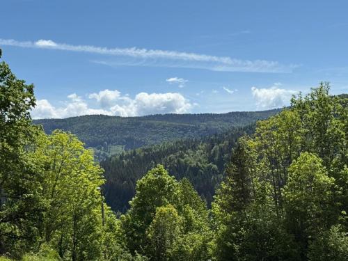 Příroda nedaleko apartmánu