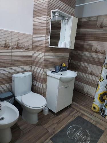 a bathroom with a toilet and a sink and a mirror at Studio Ștefan in Călimăneşti