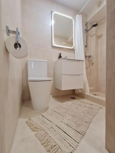 a bathroom with a toilet and a sink and a mirror at Alba Odeceixe - casa baixa in Odeceixe