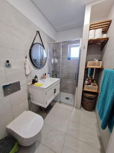 a bathroom with a toilet and a sink and a shower at Monteiro Duplex Terrace - attic in Mercês