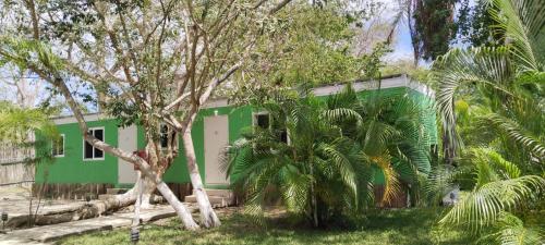 a green house with palm trees in front of it at Club Cenotes Tulum in Balcheil