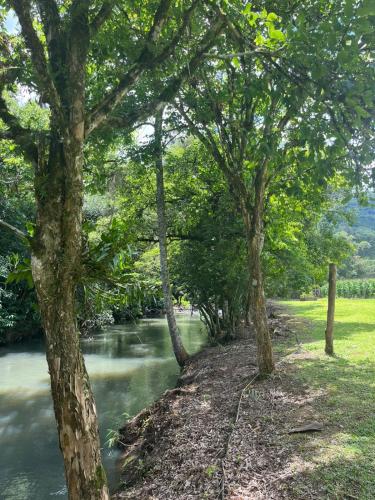a group of trees next to a river at Vale do Rio Bonito Glamping in Riozinho