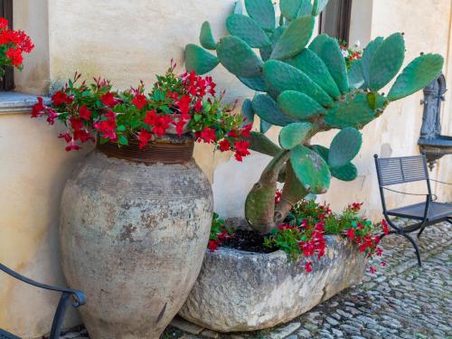 two large concrete vases with flowers and plants in them at Agriturismo Baglio Fontana in Buseto Palizzolo