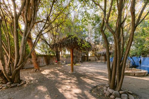 Un jardín fuera de Atotonilco Hotel & Club