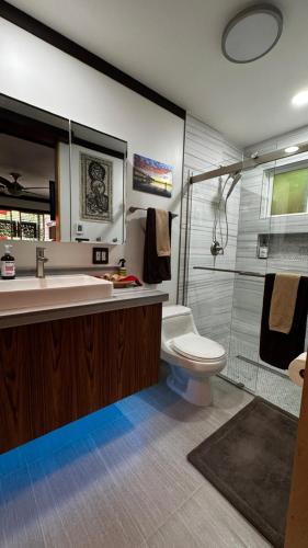 a bathroom with a sink and a toilet and a shower at Kaza Kokos in Oceanside