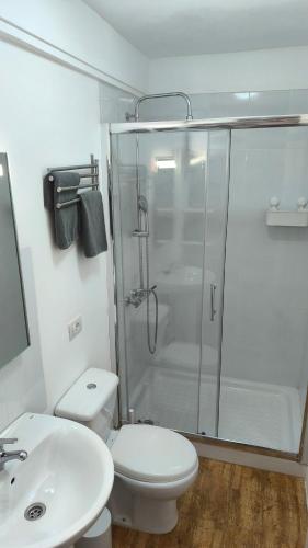a bathroom with a shower and a toilet and a sink at Flamingo Palmar in Palm-Mar