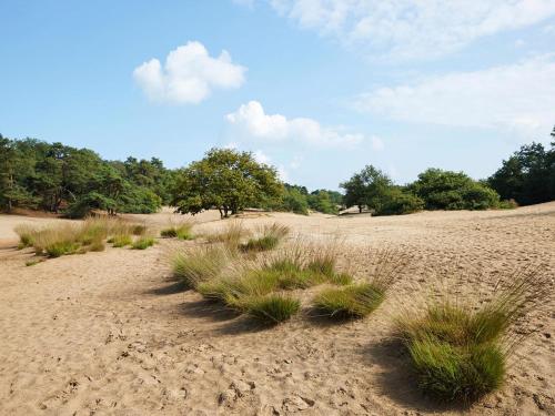 a field with some grass in the sand at t Kaatsheuveltje 5 in Sprang-Capelle