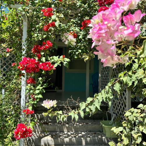 a bunch of red flowers in front of a door at LE FARE eco in Tiputa