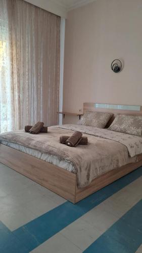 Alexapartment