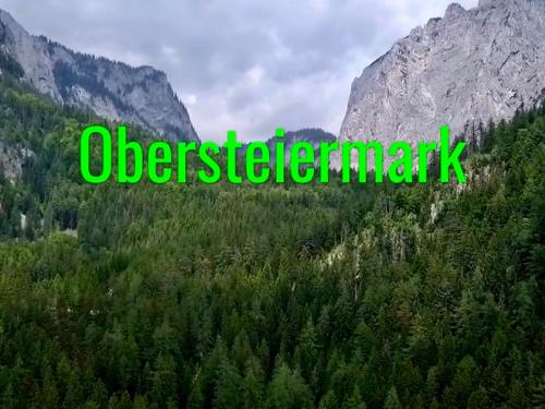 an image of a forest with the word wilderness at Grüner See Hotel & Residenzen in Oberort