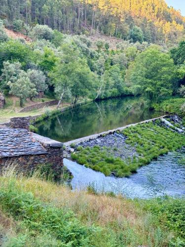 a river with a bridge next to a forest at Escapada na Natureza - Charmoso Refúgio nas Alturas in Góis