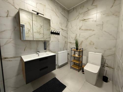 a bathroom with a sink and a toilet and a mirror at Family Apartments Zemlinski in Payerbach