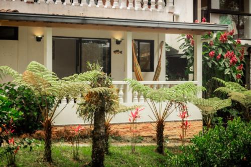 a house with plants in front of it at Serendipity Hospedaje Boutique in Guatapé