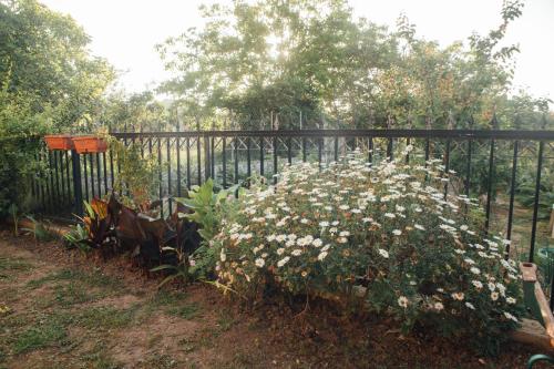 Κήπος έξω από το Tsirigotis Garden